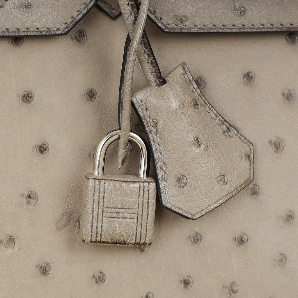 Hermes Gris Tourterelle Ostrich Retourne Birkin 30 Bag