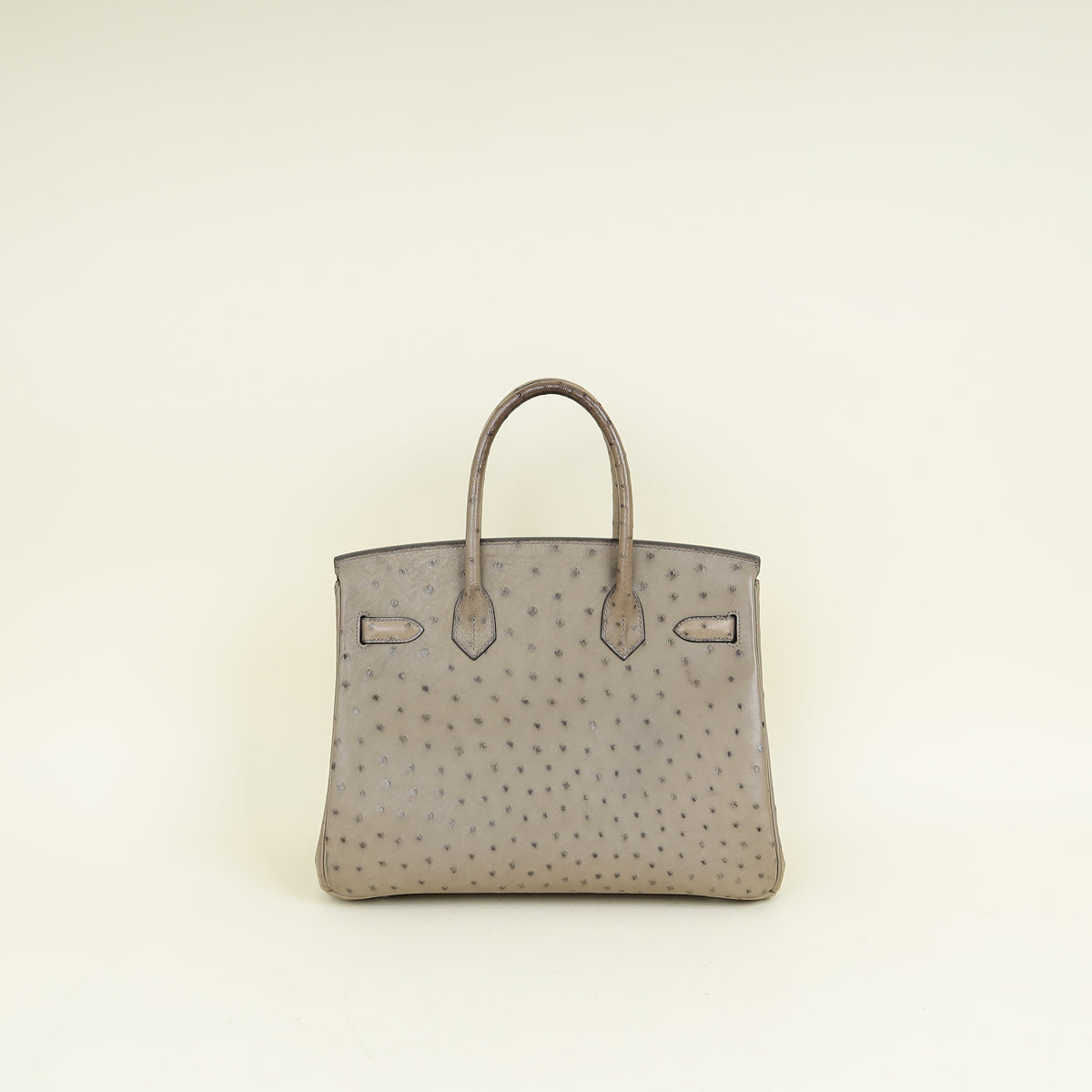 Hermes Gris Tourterelle Ostrich Retourne Birkin 30 Bag