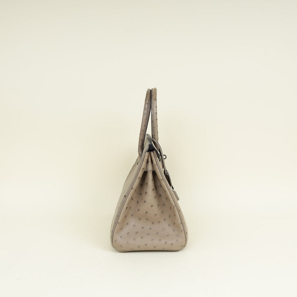 Hermes Gris Tourterelle Ostrich Retourne Birkin 30 Bag