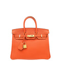 Hermes Feu Retourne Birkin 25 Bag
