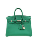 Hermes Menthe Retourne Birkin 25 Bag