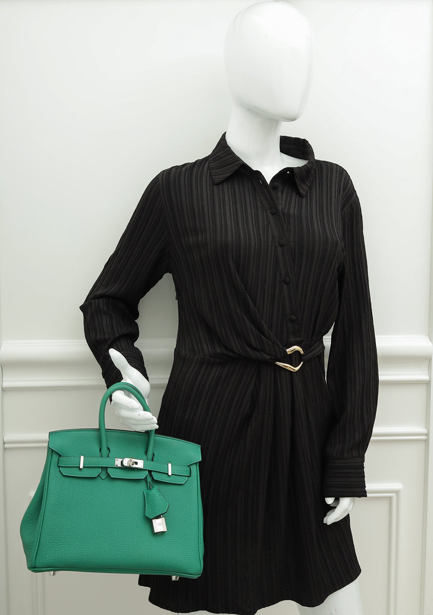 Hermes Menthe Retourne Birkin 25 Bag