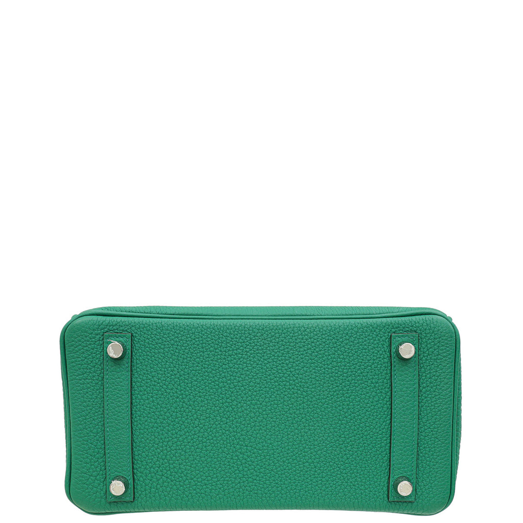 Hermes Menthe Retourne Birkin 25 Bag
