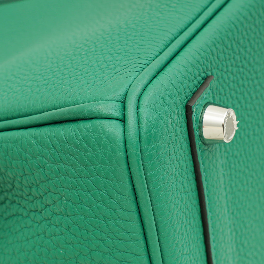 Hermes Menthe Retourne Birkin 25 Bag