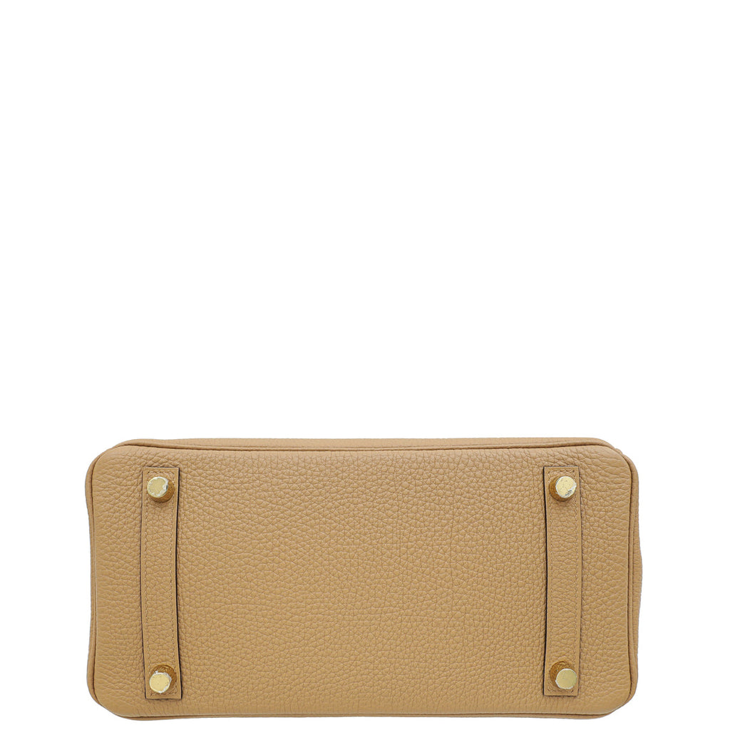 Hermes Chai Retourne Birkin Touch 25 Bag