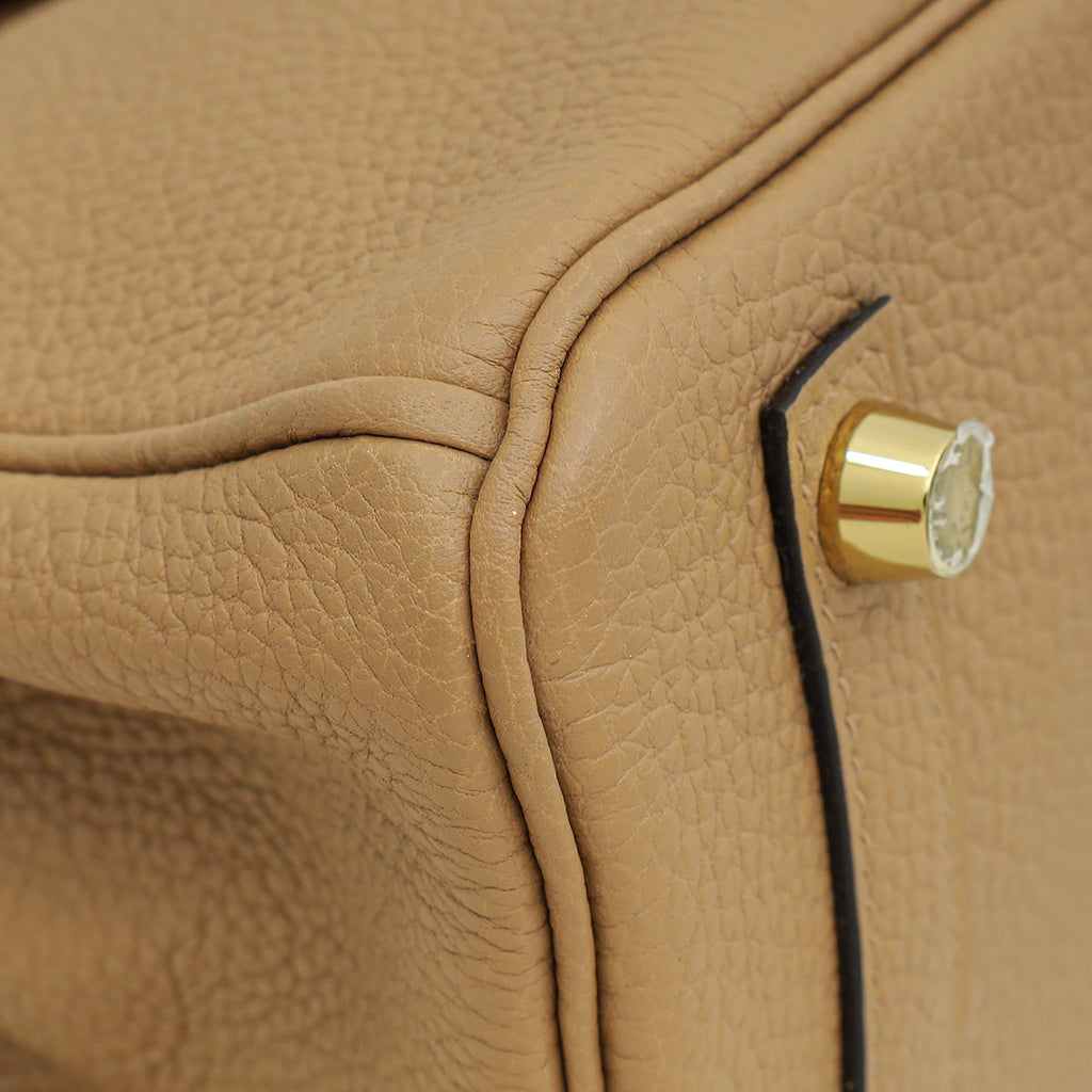 Hermes Chai Retourne Birkin Touch 25 Bag