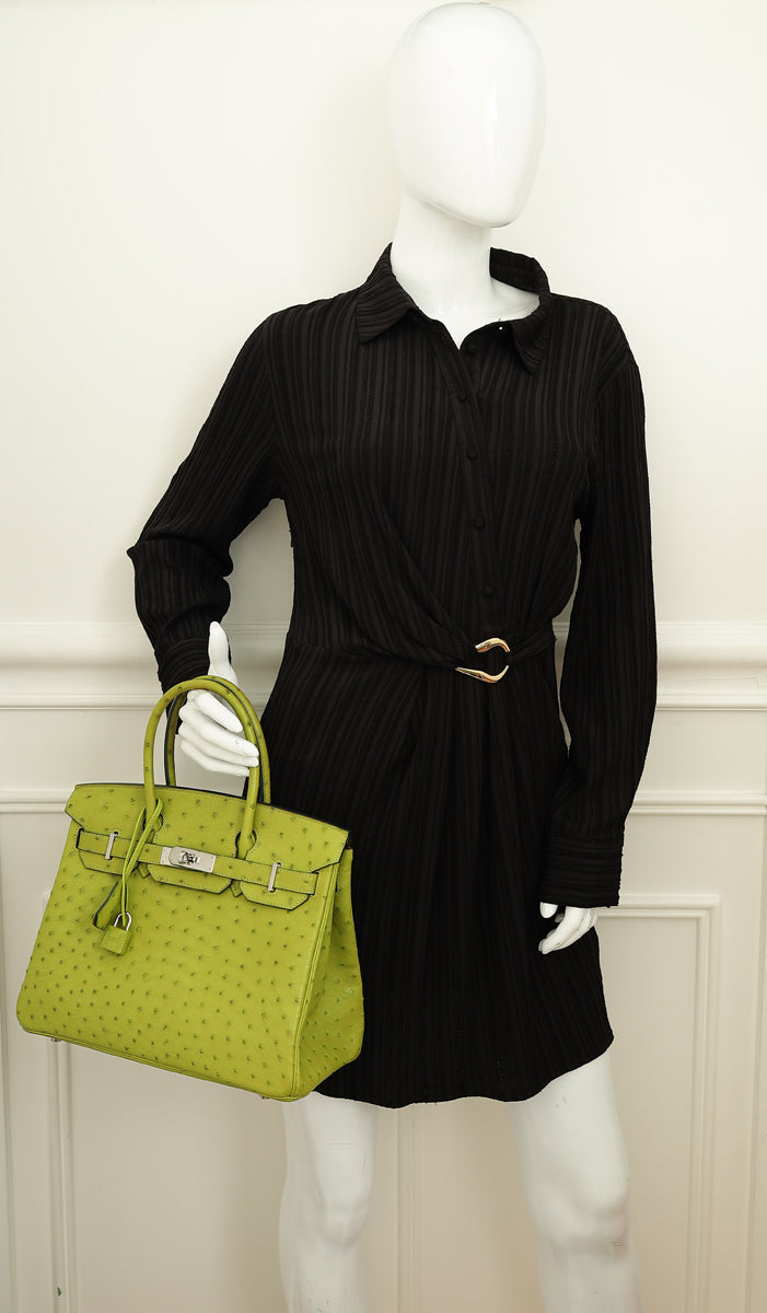 Hermes Vert Anis Ostrich Birkin 30 Bag