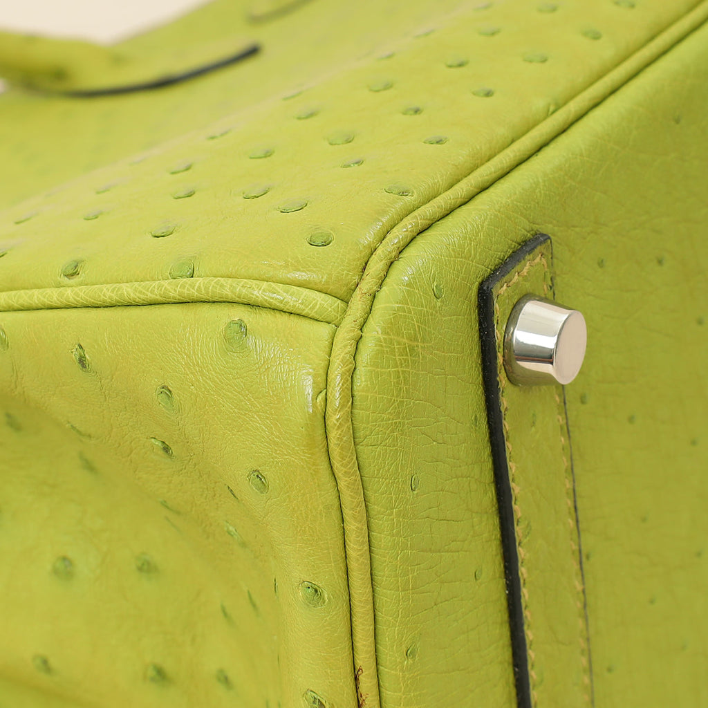 Hermes Vert Anis Ostrich Birkin 30 Bag