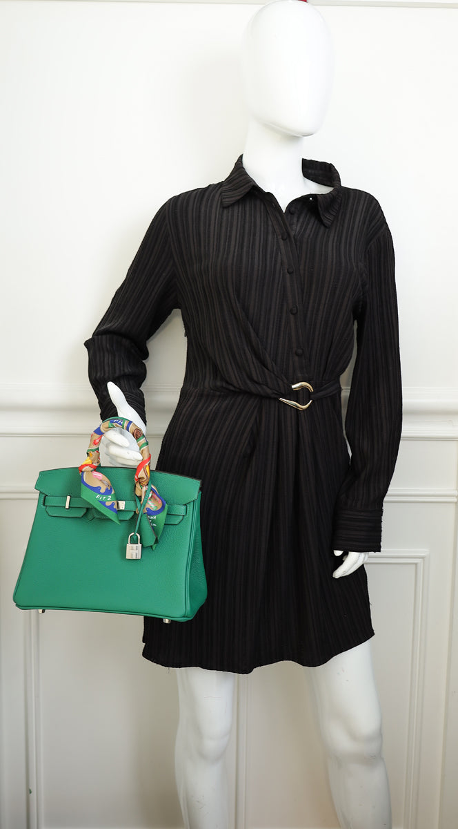 Hermes Vert Vertigo Birkin 25 Bag w Twilly