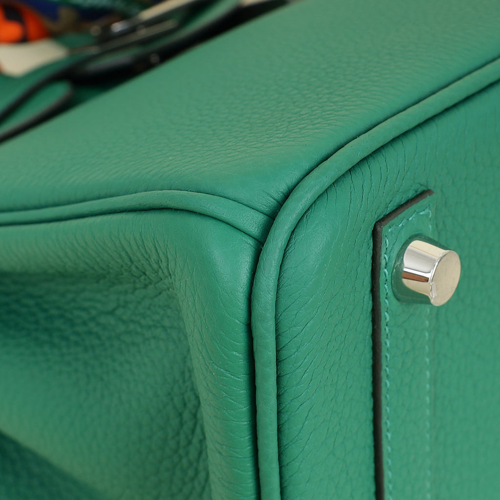 Hermes Vert Vertigo Birkin 25 Bag w Twilly