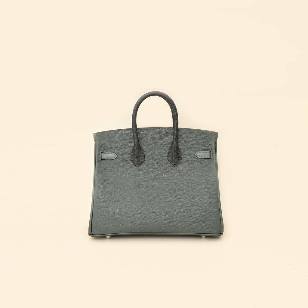 Hermes Tricolor Birkin 25 Bag