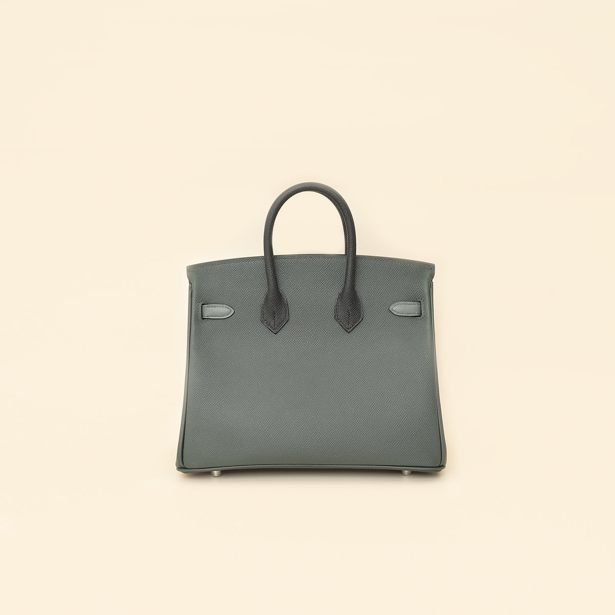 Hermes Tricolor Birkin 25 Bag