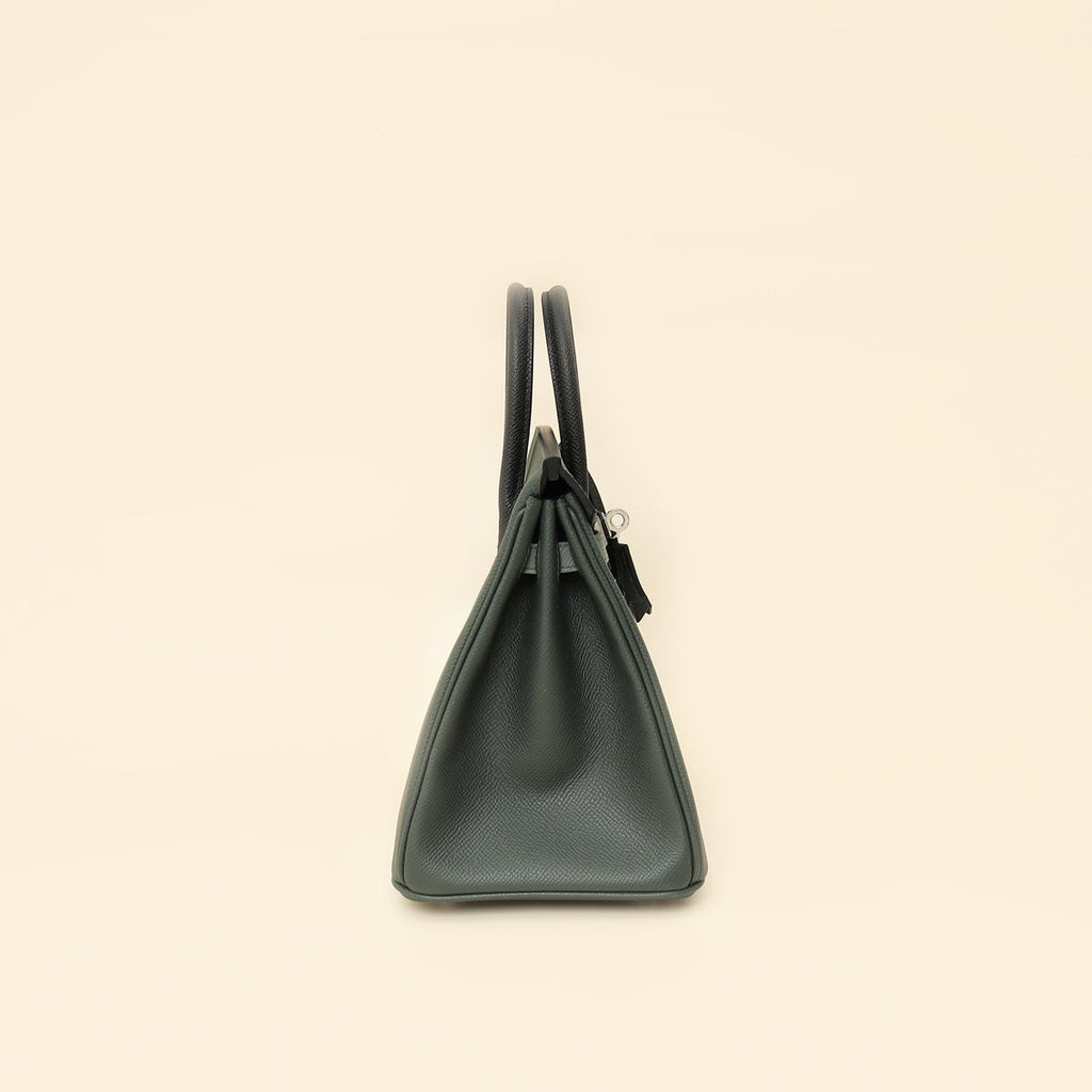 Hermes Tricolor Birkin 25 Bag