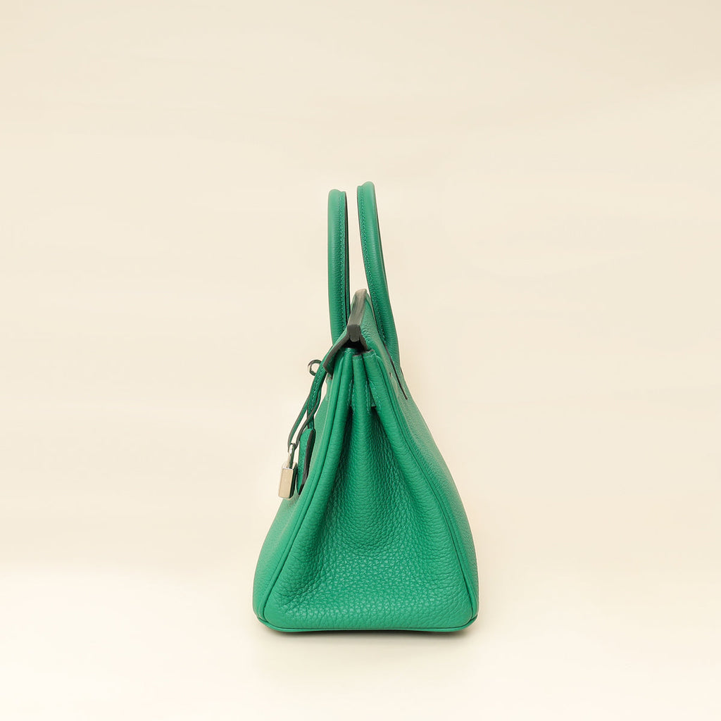 Hermes Vert Vertigo Birkin 25 Retourne Bag