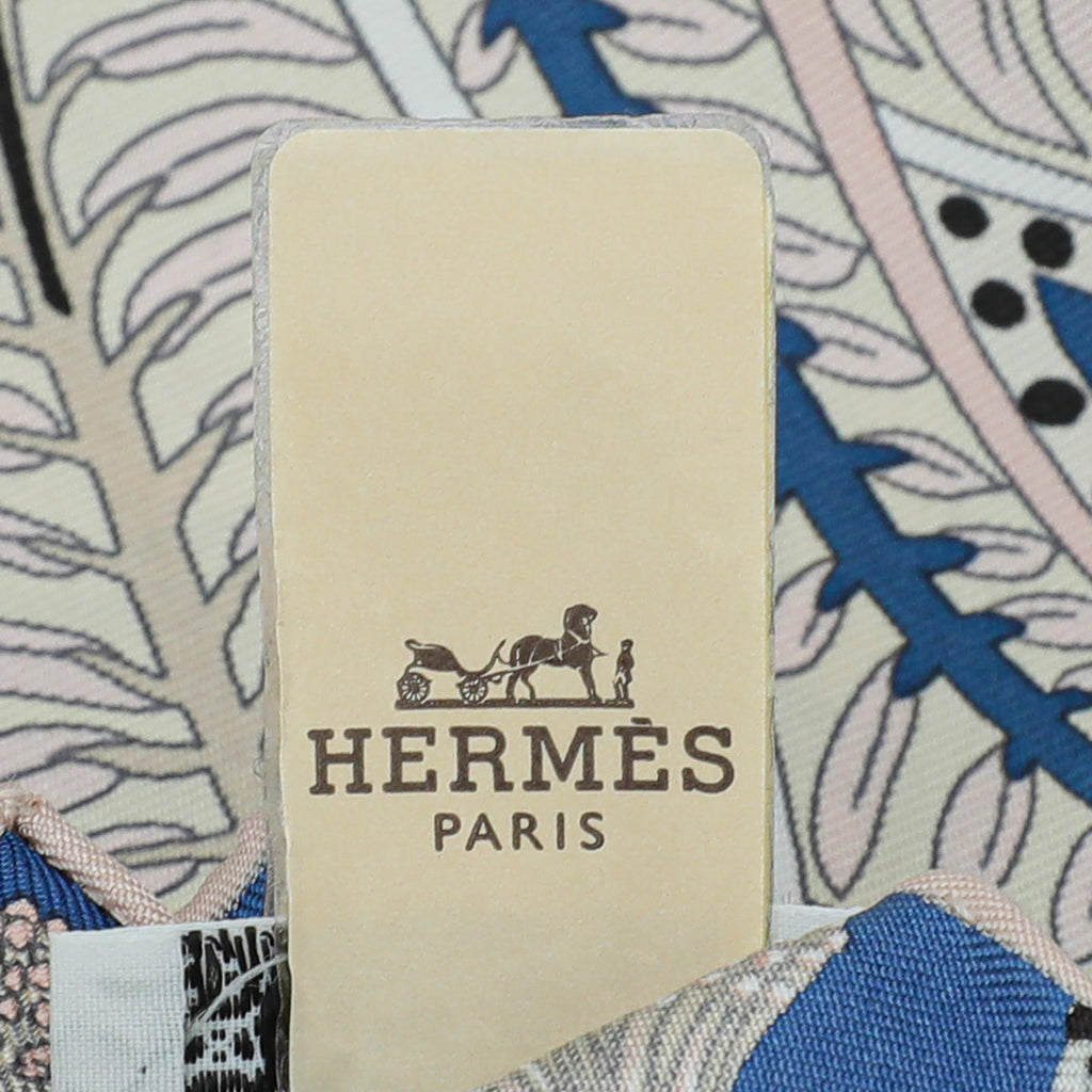 Hermes Tricolor Jardin De La Maharani Silk Scarf