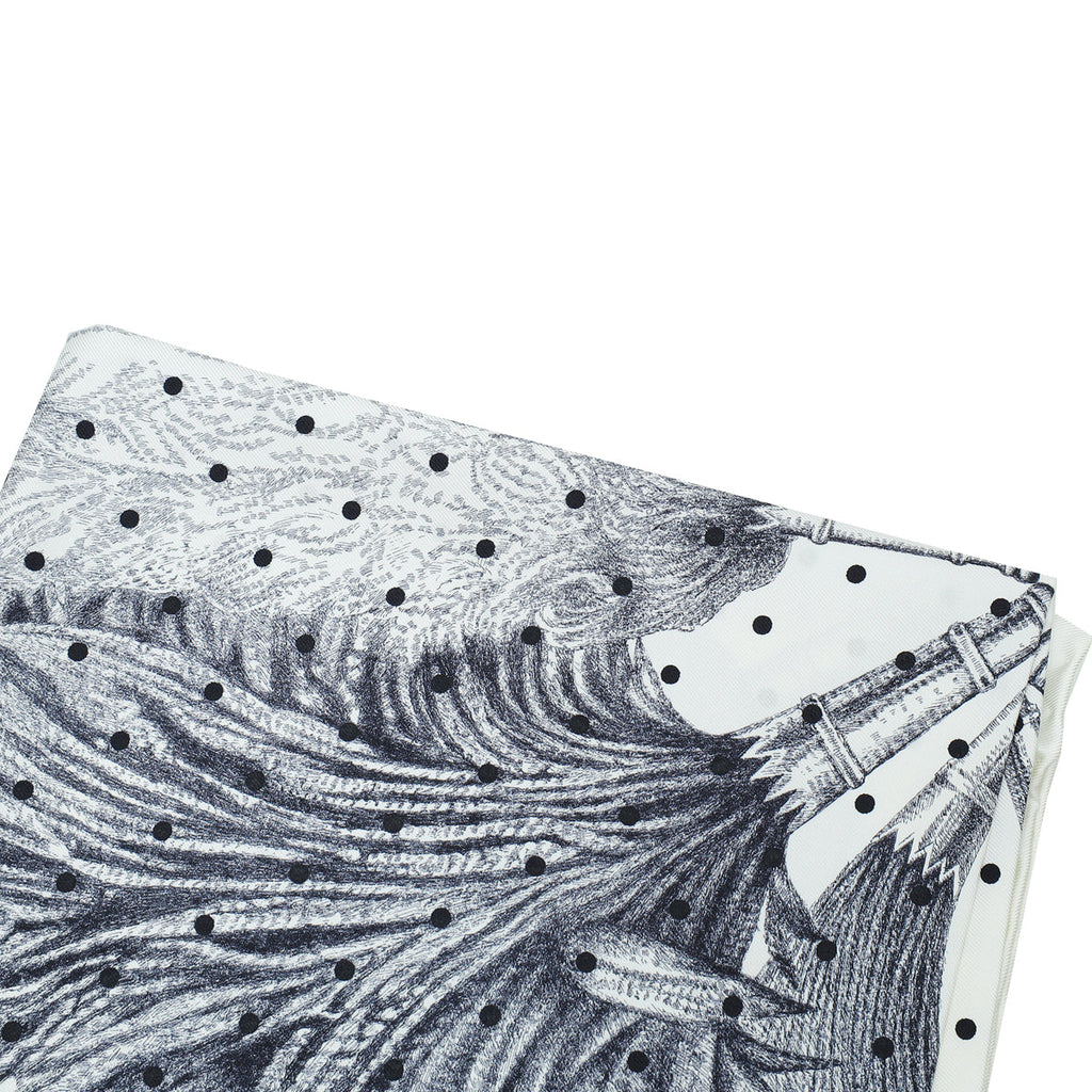 Hermes Tricolor Plumets Et Panaches Print Scarf
