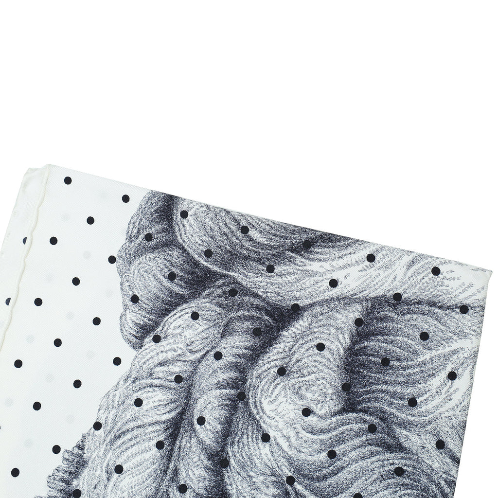 Hermes Tricolor Plumets Et Panaches Print Scarf