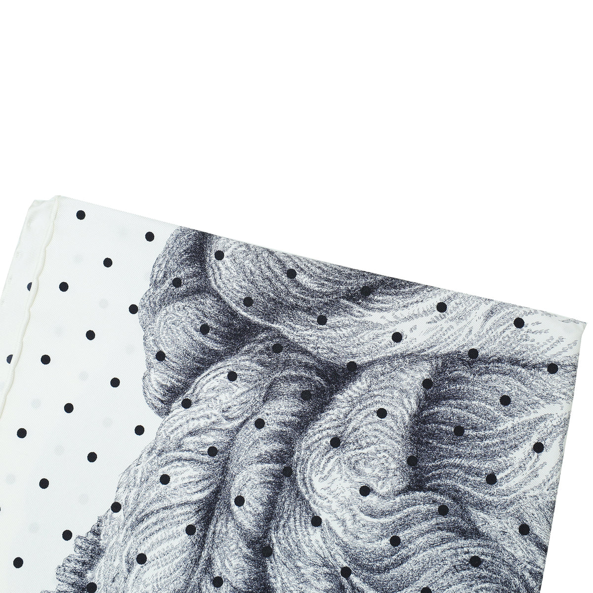 Hermes Tricolor Plumets Et Panaches Print Scarf