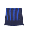 Hermes Blue H Stripe Print 140 Scarf