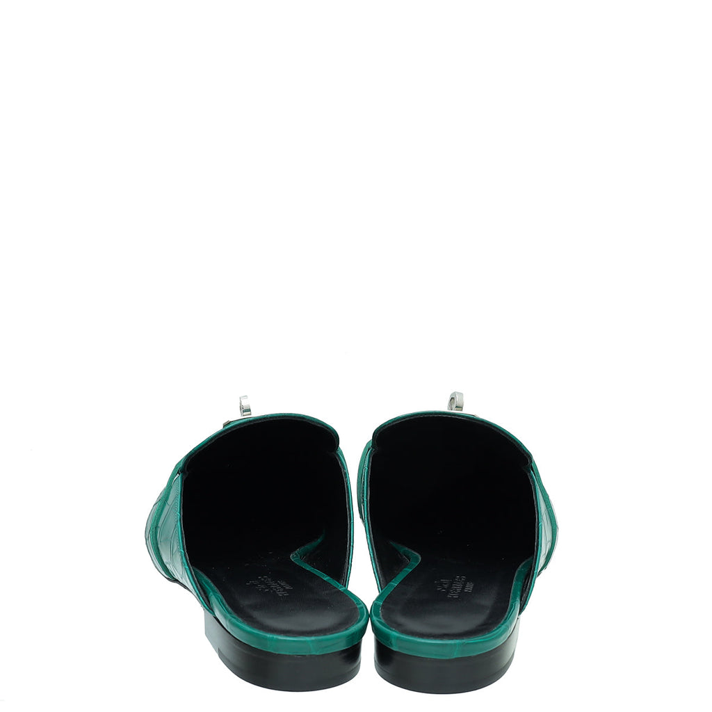 Hermes Vert Emeraudeoz Alligator Mississippiensis Mules 39
