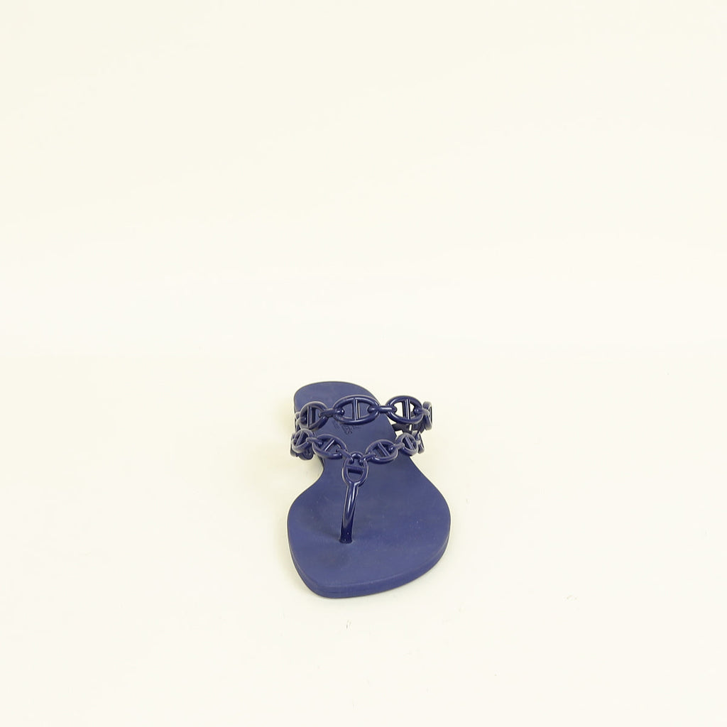 Hermes Violet Iris Island Waterproof Sandal 40