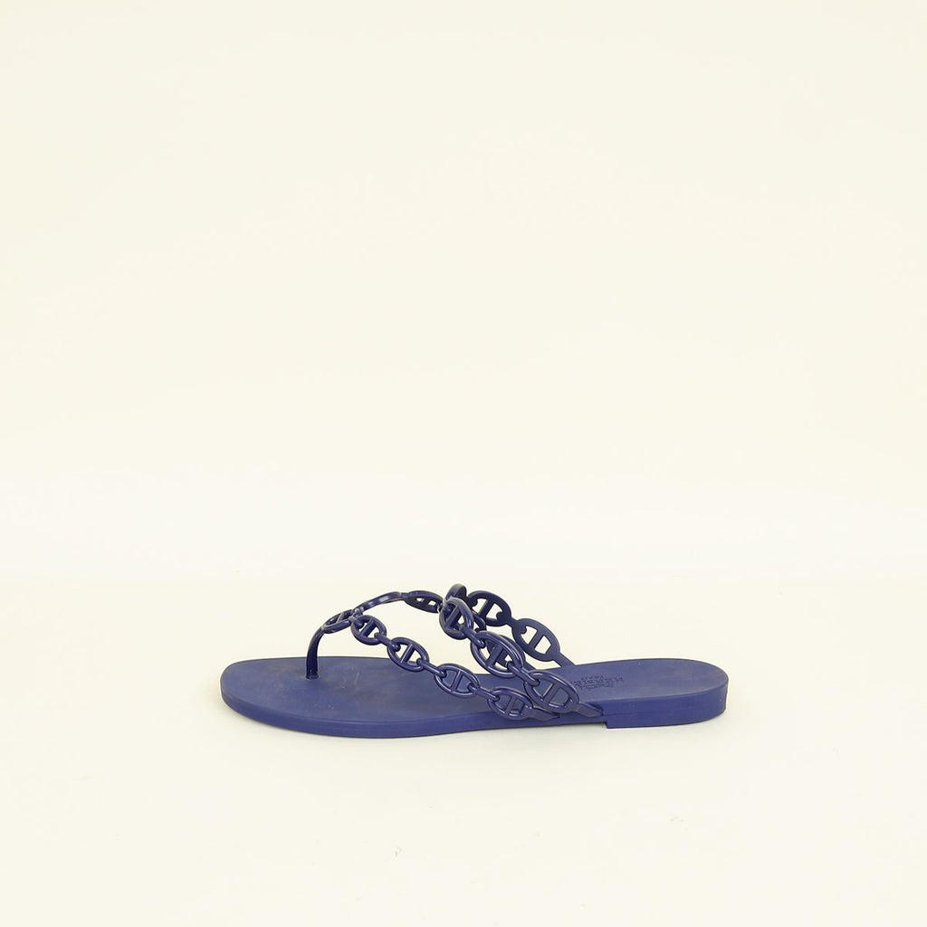 Hermes Violet Iris Island Waterproof Sandal 40
