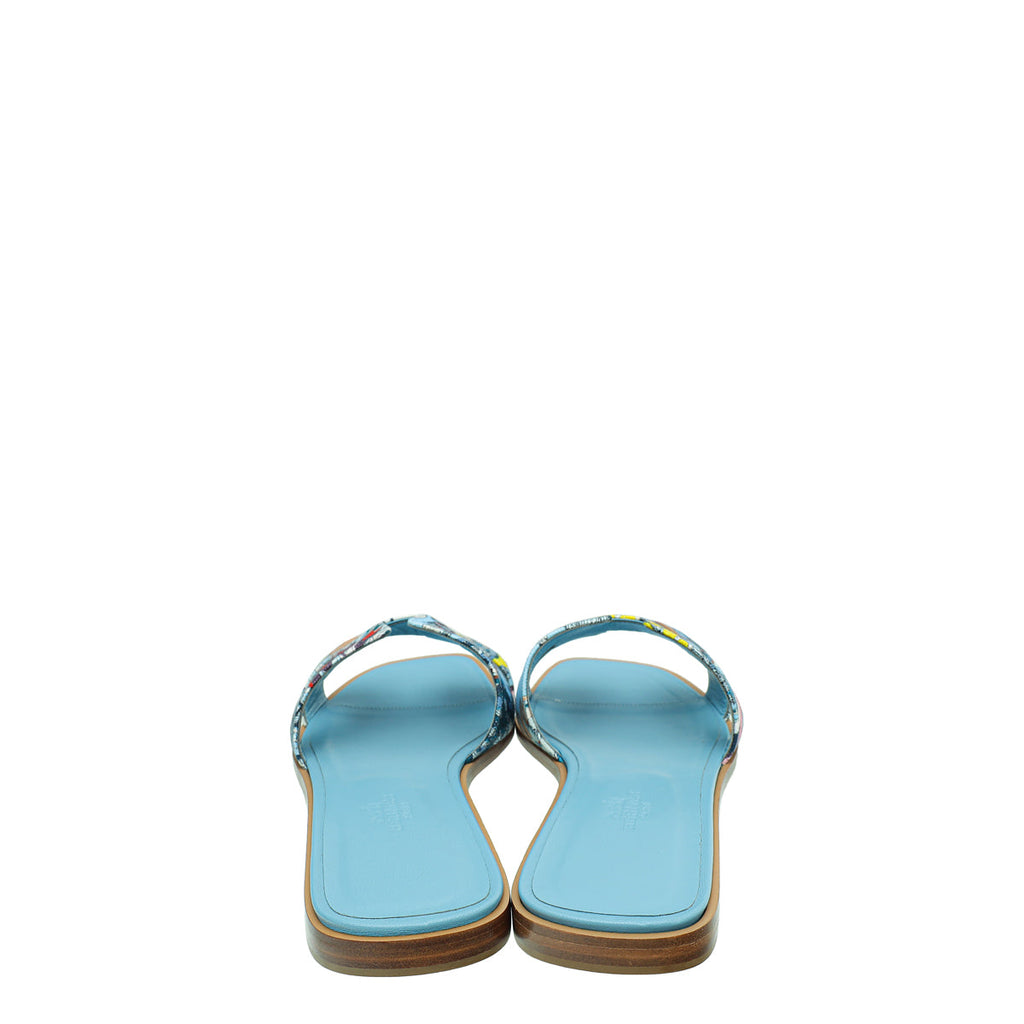 Hermes Bleu Dorse Fantaisie Botanique Oran Sandal 39