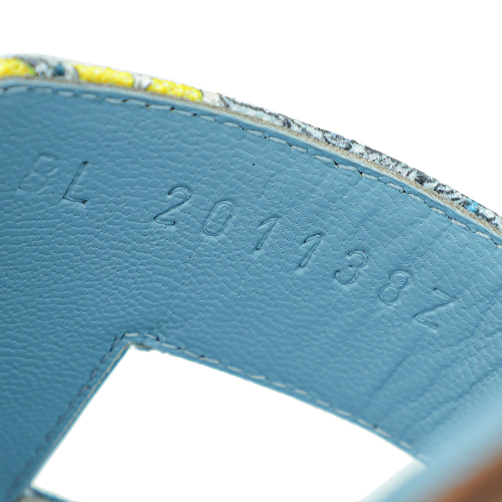 Hermes Bleu Dorse Fantaisie Botanique Oran Sandal 39