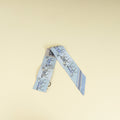 Hermes Bleu Multicolor Couvertures Nouvelles Printed Twilly