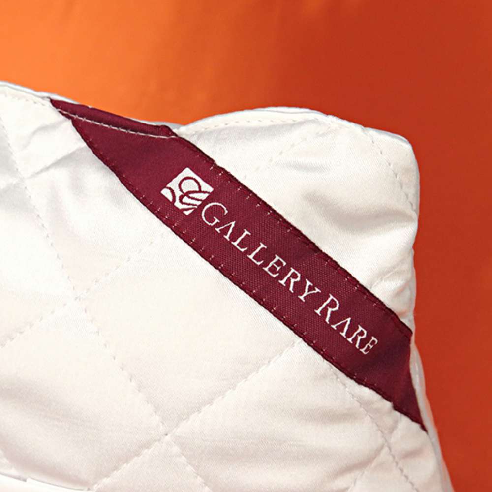 Cushion for HERMES Kelly28