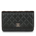 Chanel Wallet on Chain - Iridescent