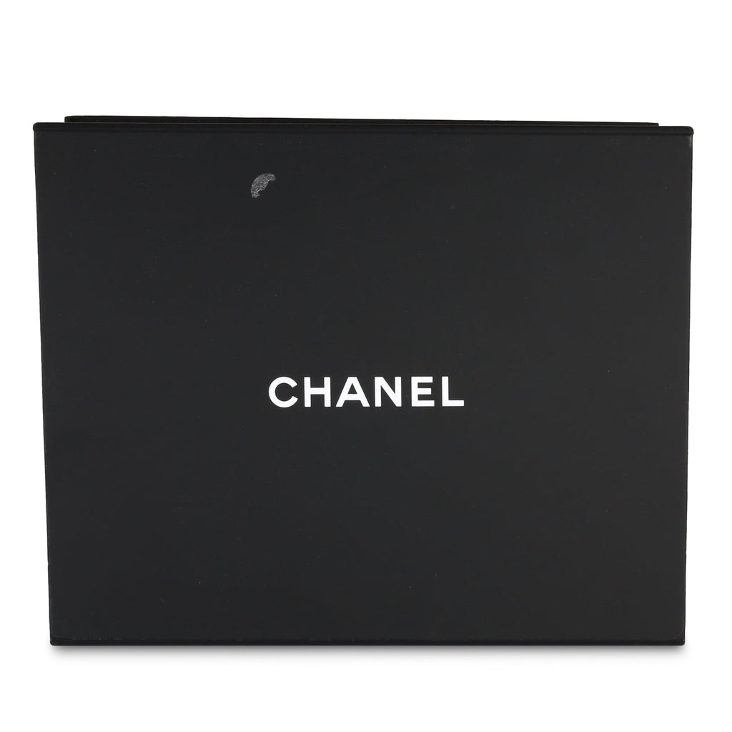 Chanel Small Coco Handle
