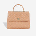 Chanel Trendy CC Flap Bag - Large
