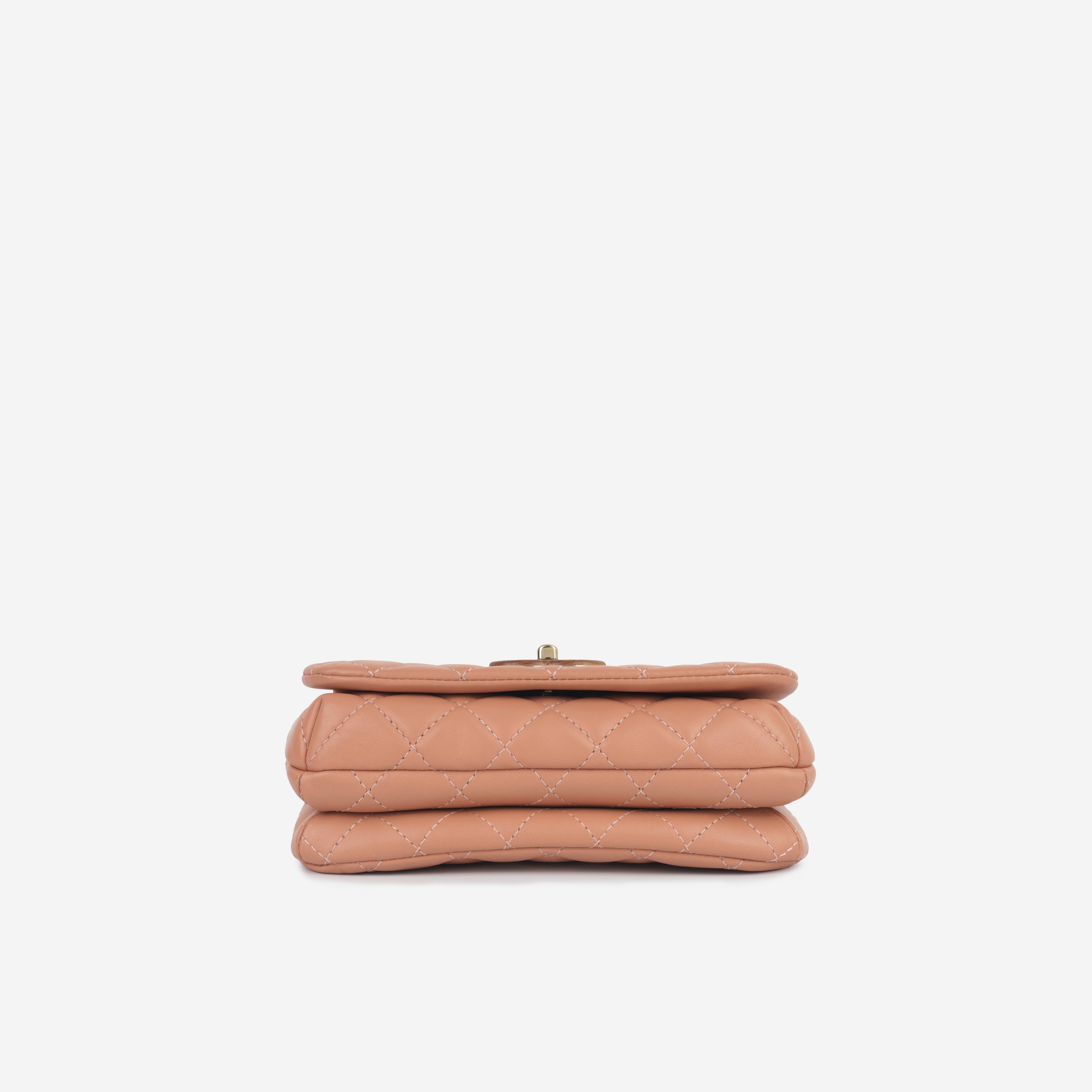 Chanel Mini Seasonal Wood Top Handle