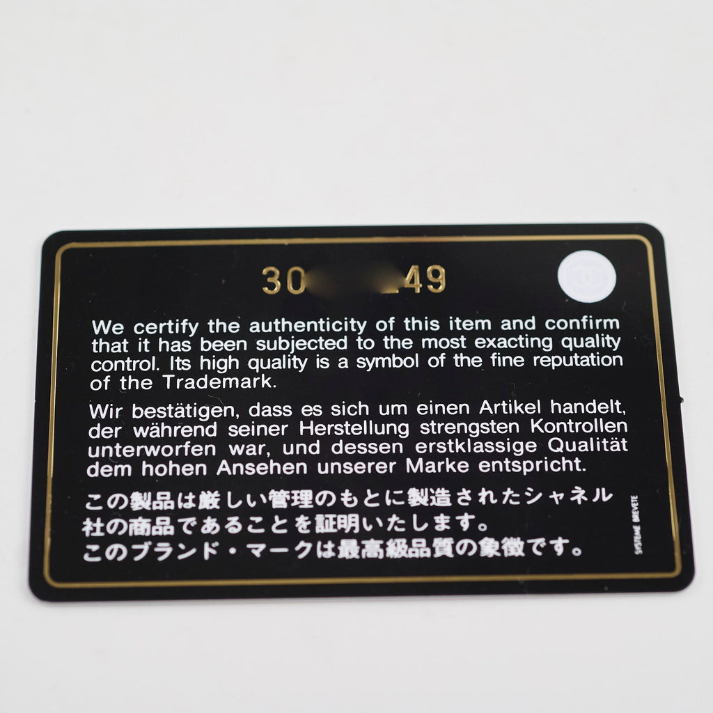 Chanel 19 Small Beige 30 Series
