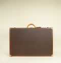 Louis Vuitton Brown Constellation Series Alzer 75