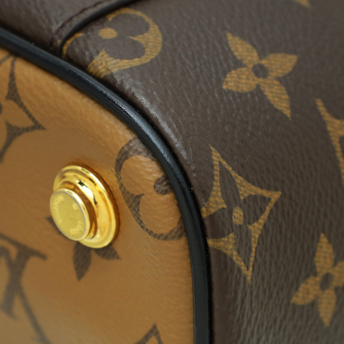 Louis Vuitton Monogram Reverse Vanity PM Bag