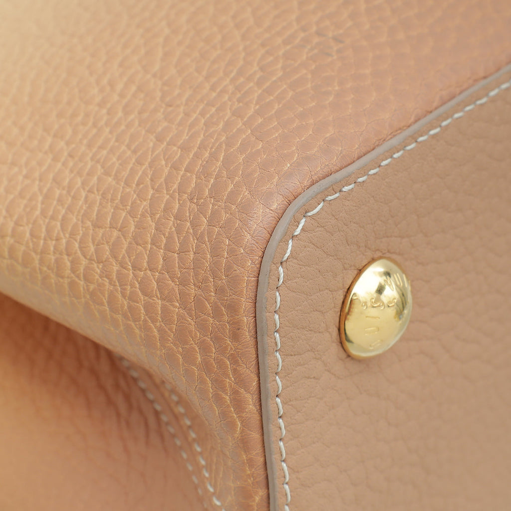 Louis Vuitton Beige Gradient Capucines MM Bag