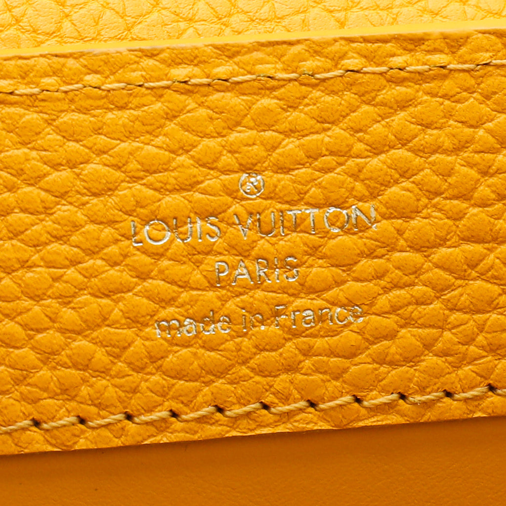 Louis Vuitton Jaune D'or Python Capucine Mini Bag