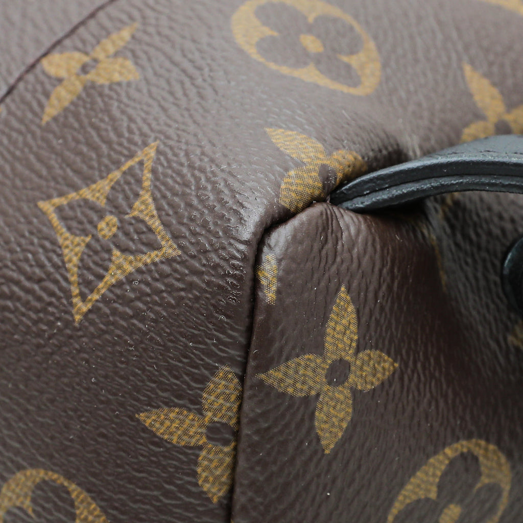 Louis Vuitton Monogram Reverse Palm Spring Small Backpack Bag