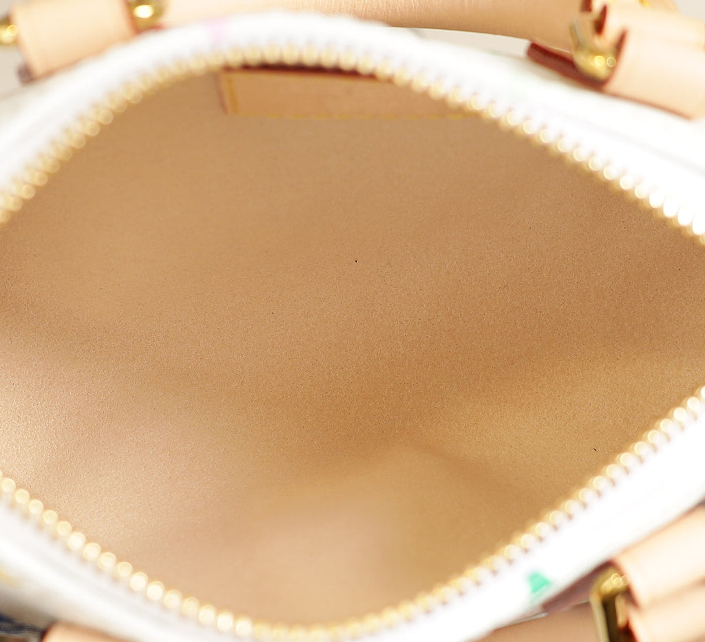 Louis Vuitton Multicolor Monogram x TM Nano Speedy Takashi Murakami Bag
