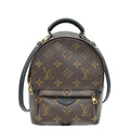 Louis Vuitton Monogram Palm Spring Mini Backpack Bag