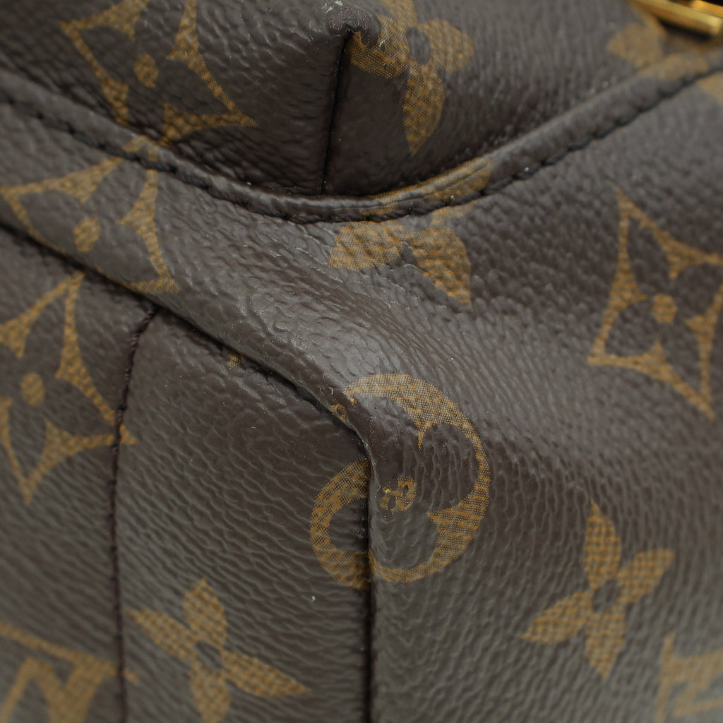 Louis Vuitton Monogram Palm Spring Mini Backpack Bag
