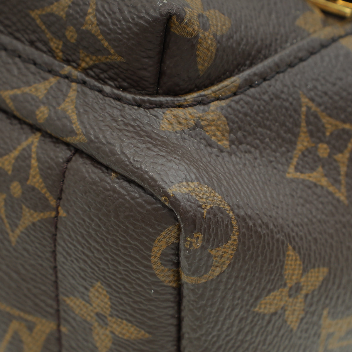 Louis Vuitton Monogram Palm Spring Mini Backpack Bag