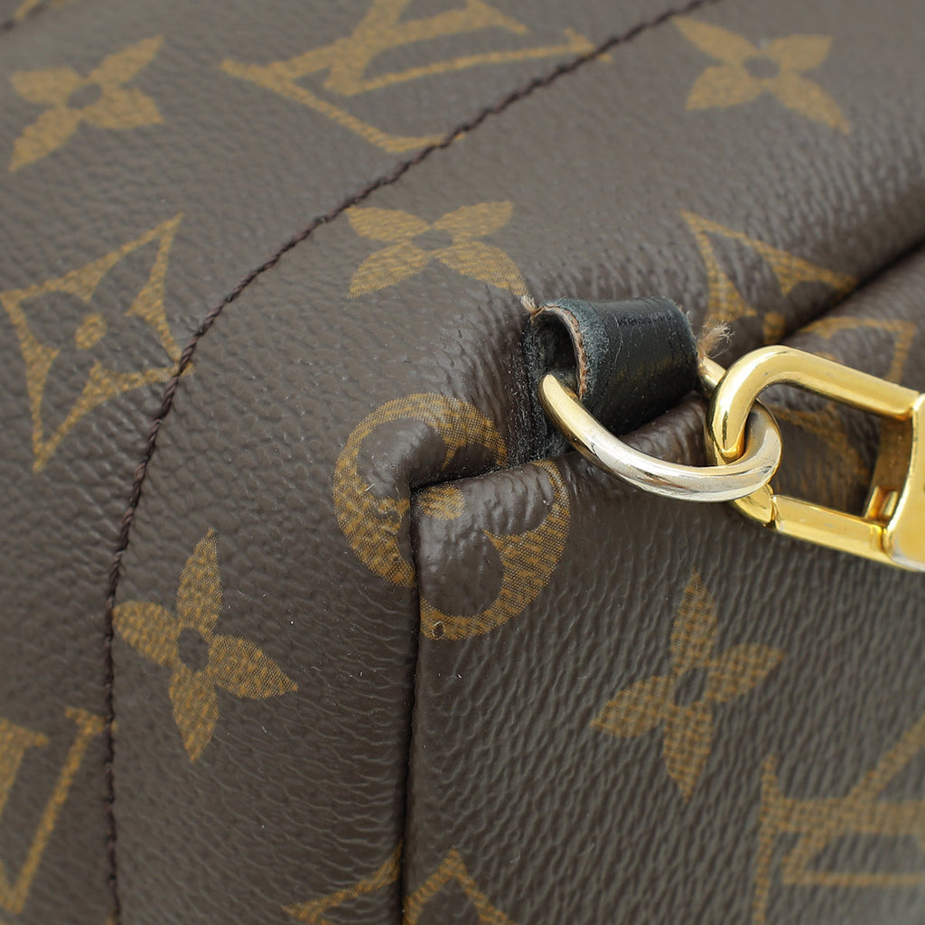 Louis Vuitton Monogram Palm Spring Mini Backpack Bag