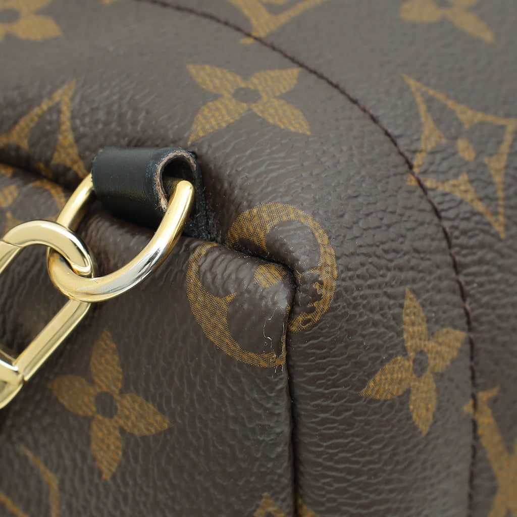 Louis Vuitton Monogram Palm Spring Mini Backpack Bag