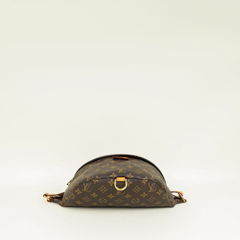 Louis Vuitton Monogram Bumbag