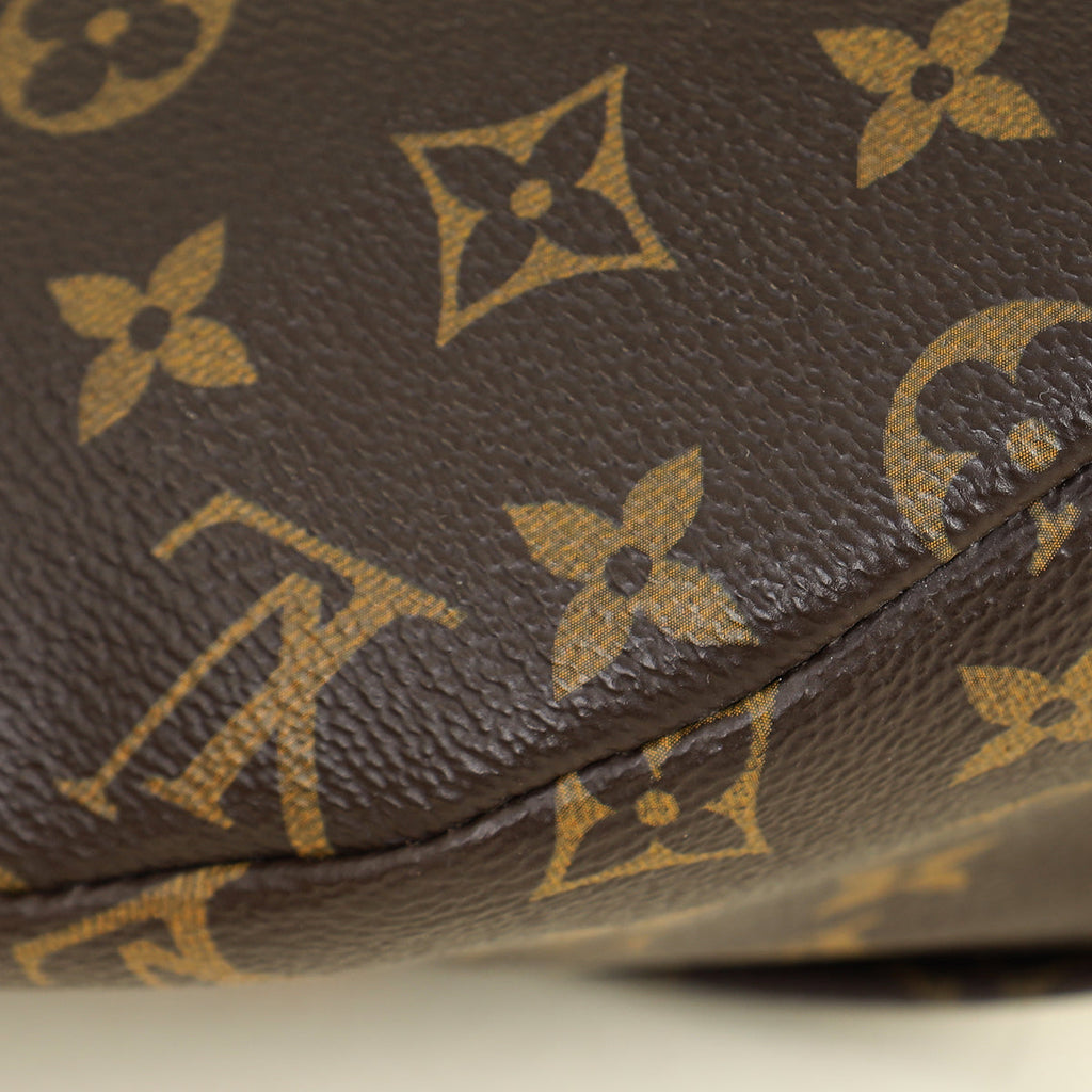 Louis Vuitton Monogram Bumbag