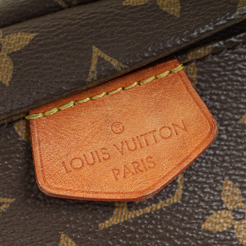 Louis Vuitton Monogram Bumbag