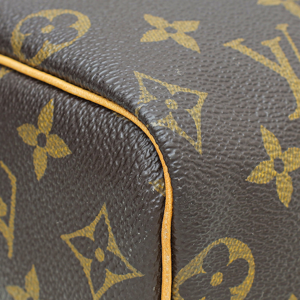 Louis Vuitton Monogram Speedy 25 Bag